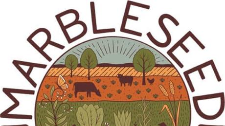 Group Banner Picture